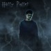 Harry-Potter-Final-Result.jpg